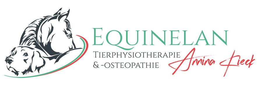 Equinelan Logo