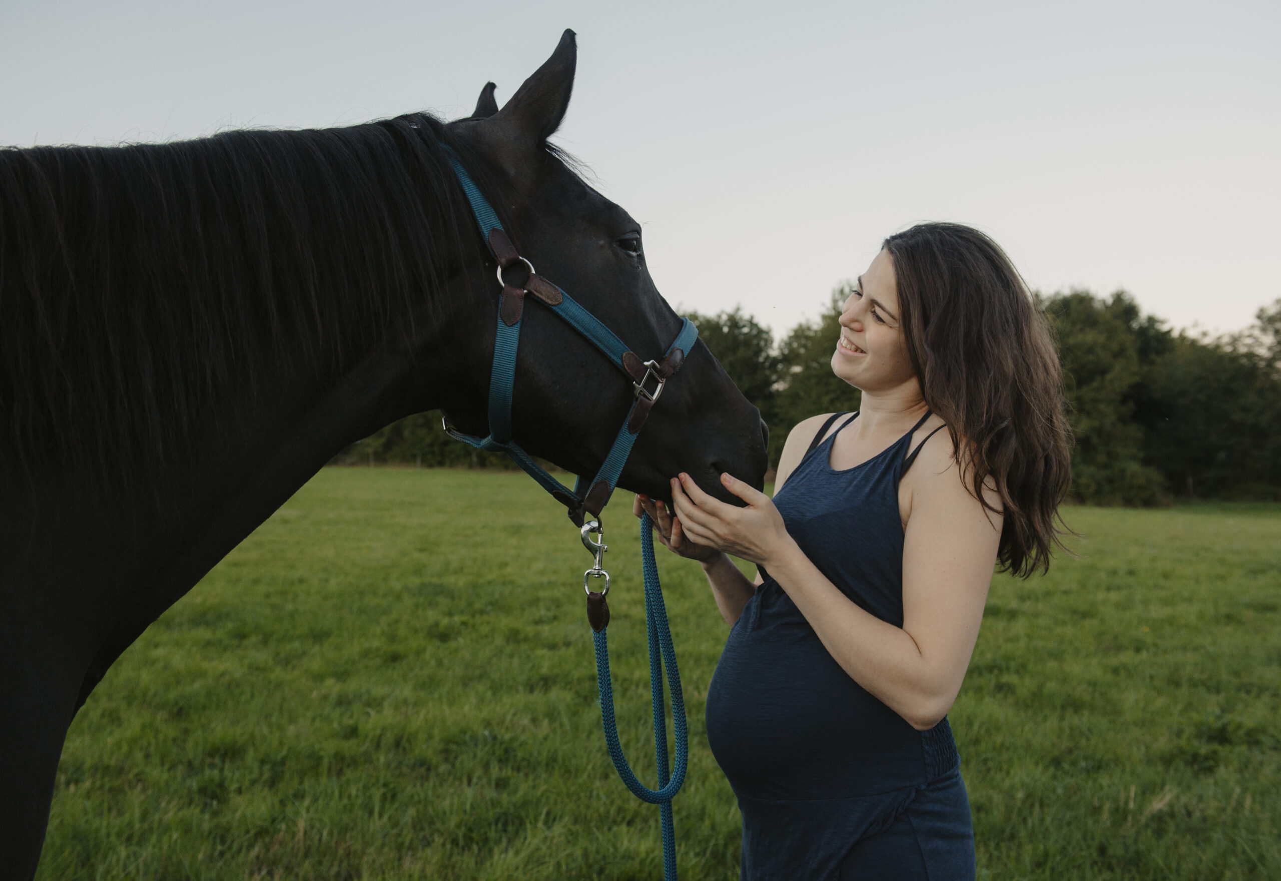 Umgang mit dem Pferd in der Schwangerschaft