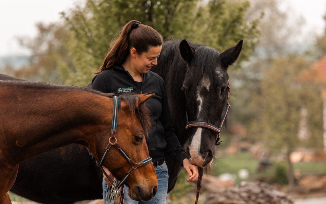 Der richtige Weg für dich und dein Pferd