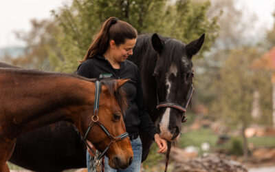 Der richtige Weg für dich und dein Pferd